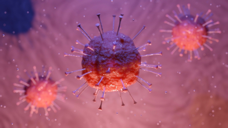 La desinfección, clave para acabar con el coronavirus