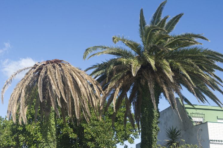 23f6a067599ae98276b159b7685c0abf XL