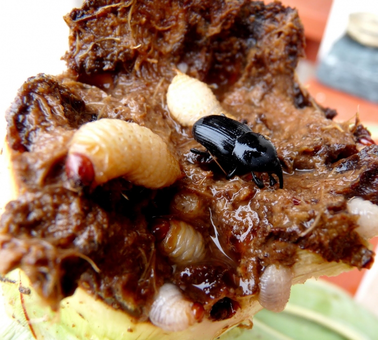 68497d6cb194485d2759fde9466457b7 XL